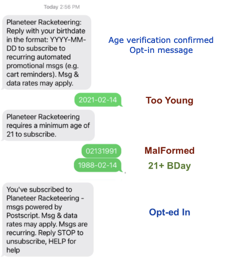 age-verification-example (1).png